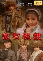 家有辣嫂海报