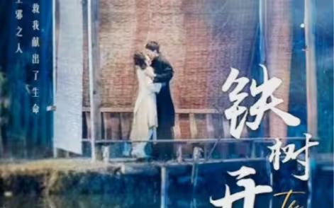 铁树开花海报