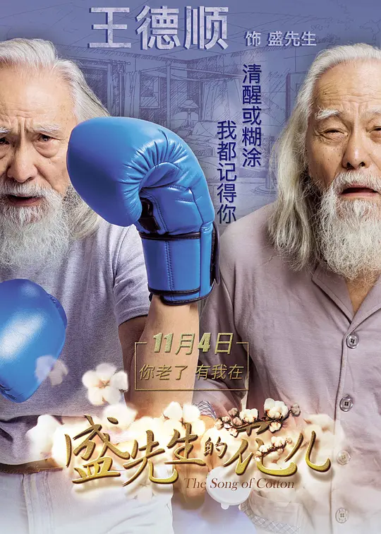 盛先生的花儿【影视解说】海报