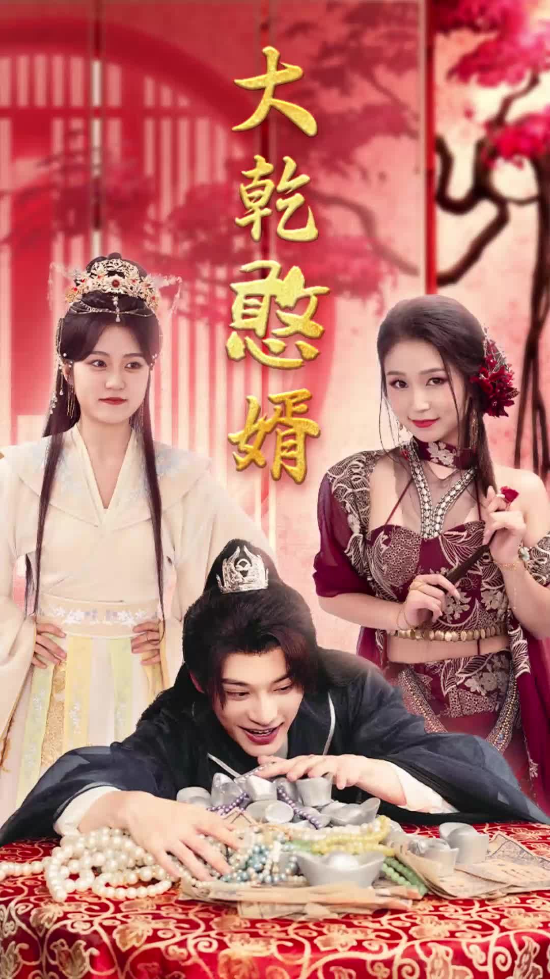 大乾憨婿海报