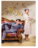 藏龙 短剧版海报
