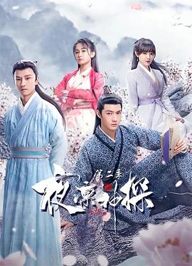 夜凛神探 第二季海报