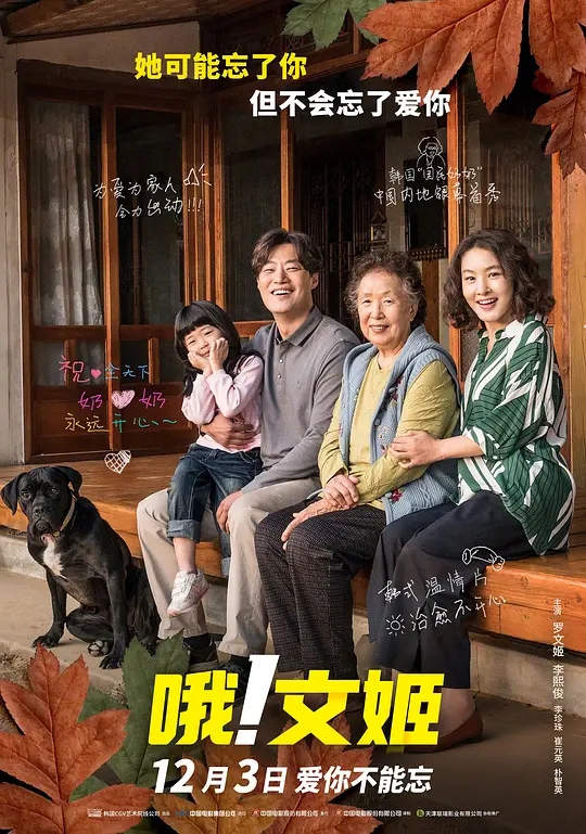 哦，文姬【影视解说】海报