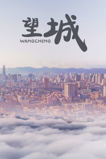 望城海报