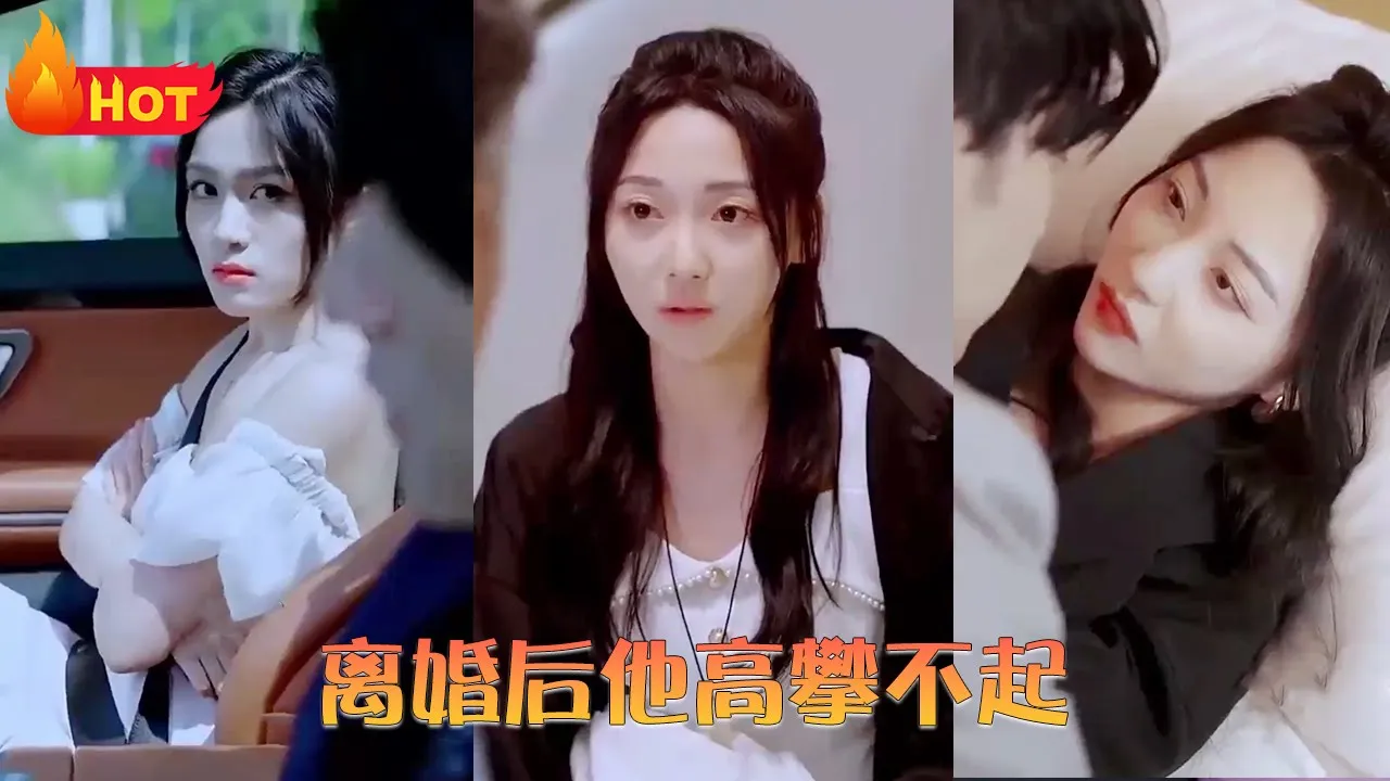 离婚后他高攀不起海报