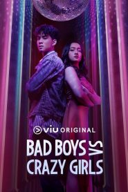 Bad Boys VS Crazy Girls海报