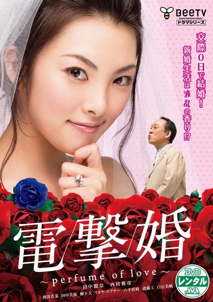 电击婚海报