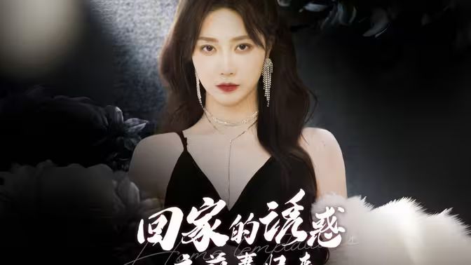 回家的诱惑之前妻归来海报