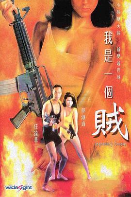 我是一个贼（粤语版）海报