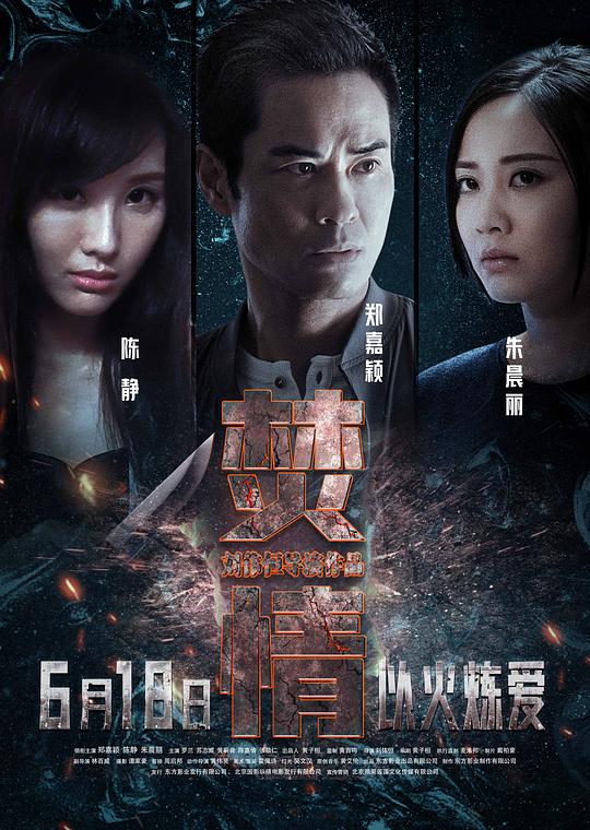 焚情粤语海报
