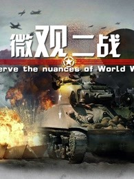 微观二战海报