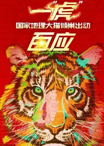 一“虎”百应海报