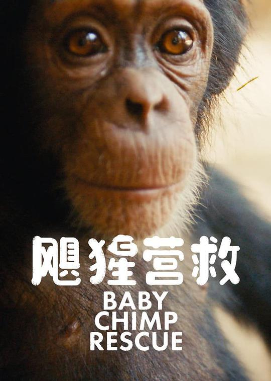 飓猩营救海报