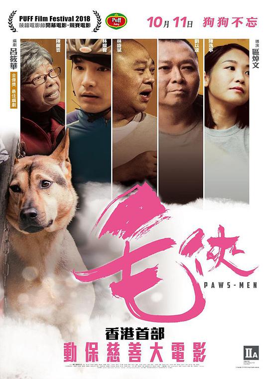 毛侠海报
