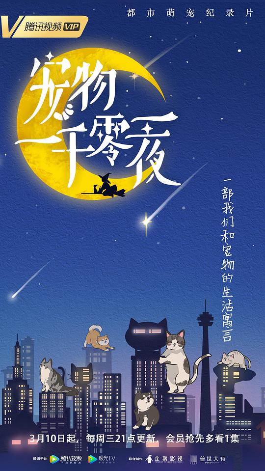 宠物一千零一夜海报