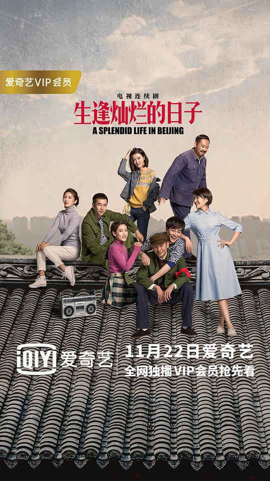 生逢灿烂的日子网络版海报
