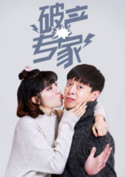 破产专家第一季海报