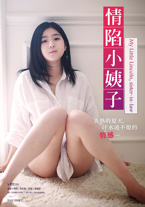 情陷小姨子海报
