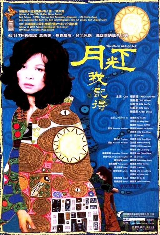 月光下，我记得海报