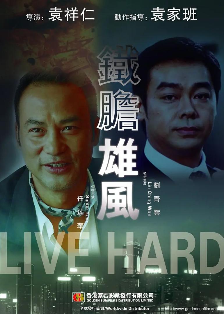 铁胆雄风海报