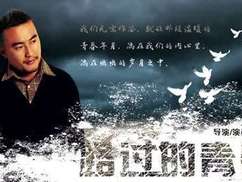 路过的青春海报