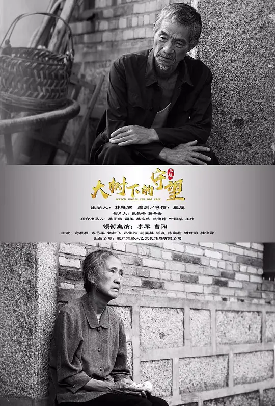 大树下的守望【影视解说】海报