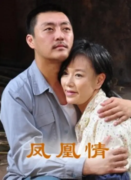 凤凰情【影视解说】海报