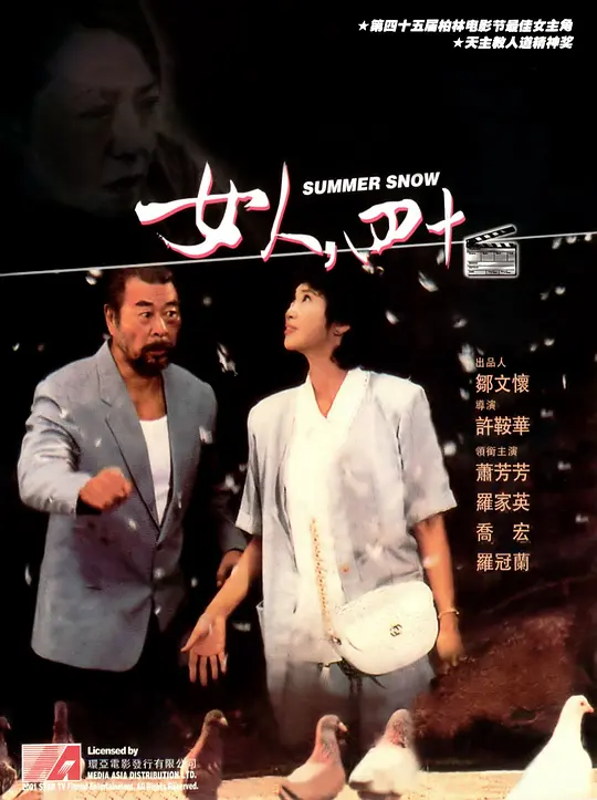 女人，四十【影视解说】海报