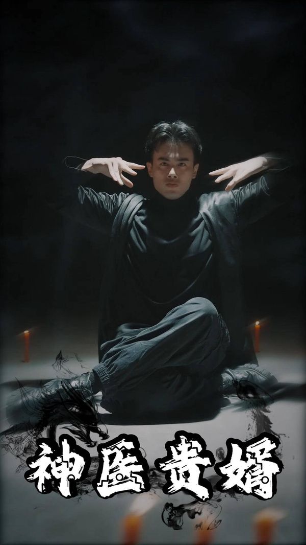 神医贵婿海报