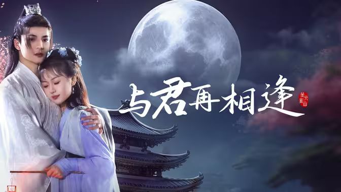 与君再相逢海报