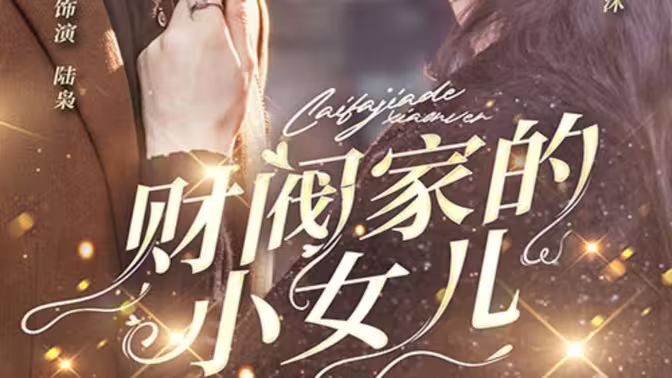 财阀家的小女儿海报
