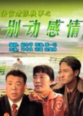 法官老张轶事之别动感情海报