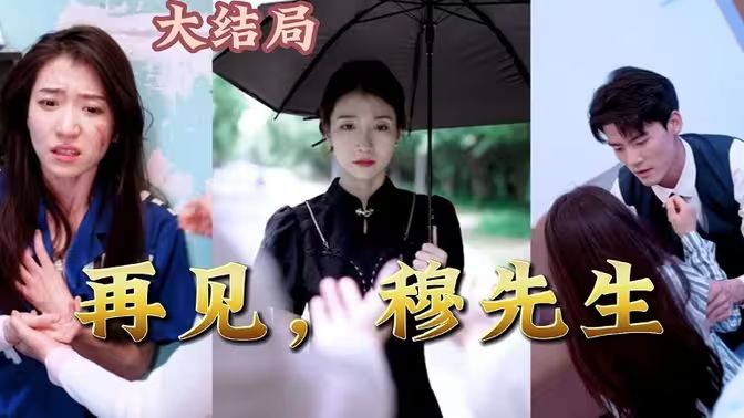 再见，穆先生海报
