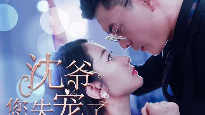 沈爷您失宠了海报