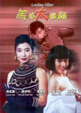羔羊大律师海报