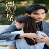 妻子的反击海报