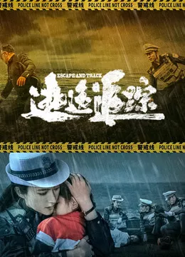 逃逸追踪海报