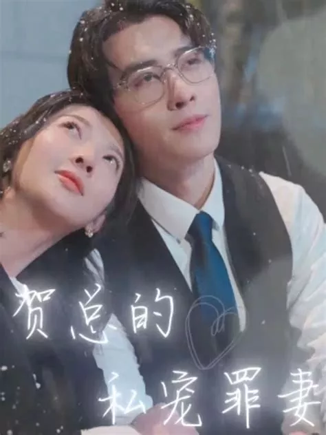 贺总的私宠罪妻海报