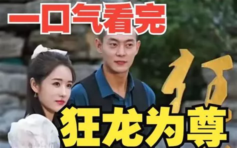 狂龙为尊海报