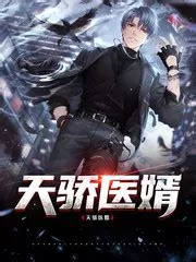 天骄医婿海报
