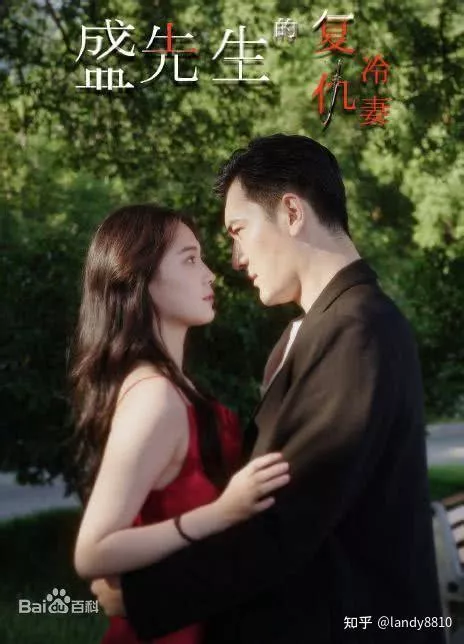盛先生的复仇冷妻海报