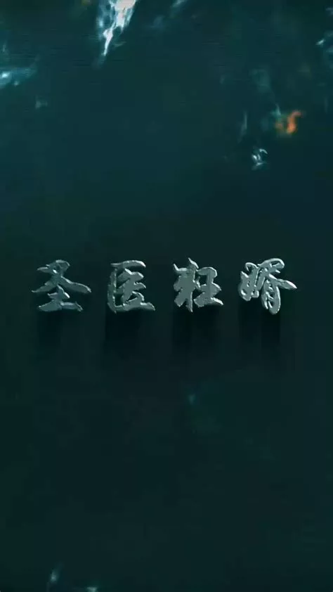 圣医狂婿海报