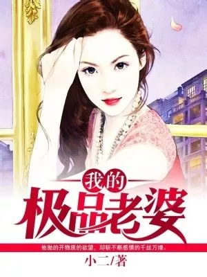 我的极品老婆海报