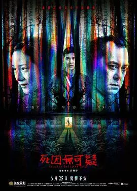 死因无可疑海报