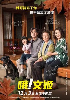 哦！文姬【影视解说】海报