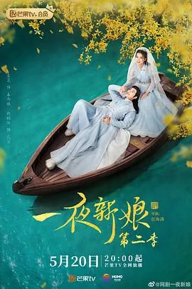 一夜新娘第2部海报