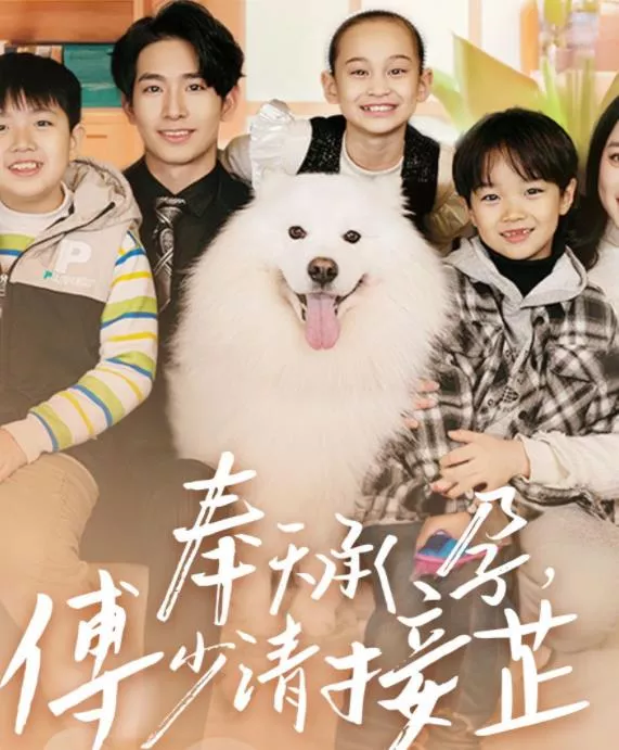 奉天承孕：傅少请接芷海报