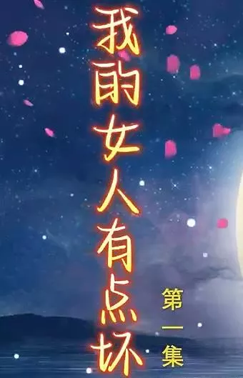 新我的女人有点坏海报