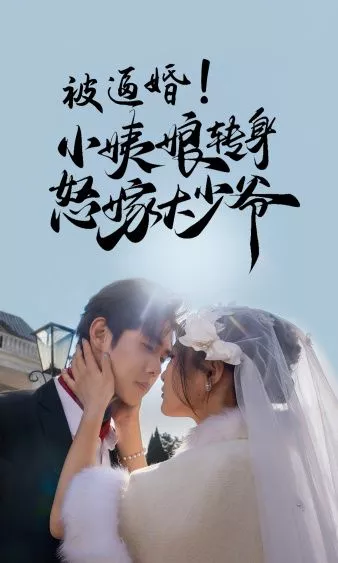 被逼婚小姨娘转身怒嫁大少爷海报