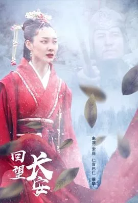 回望长安海报